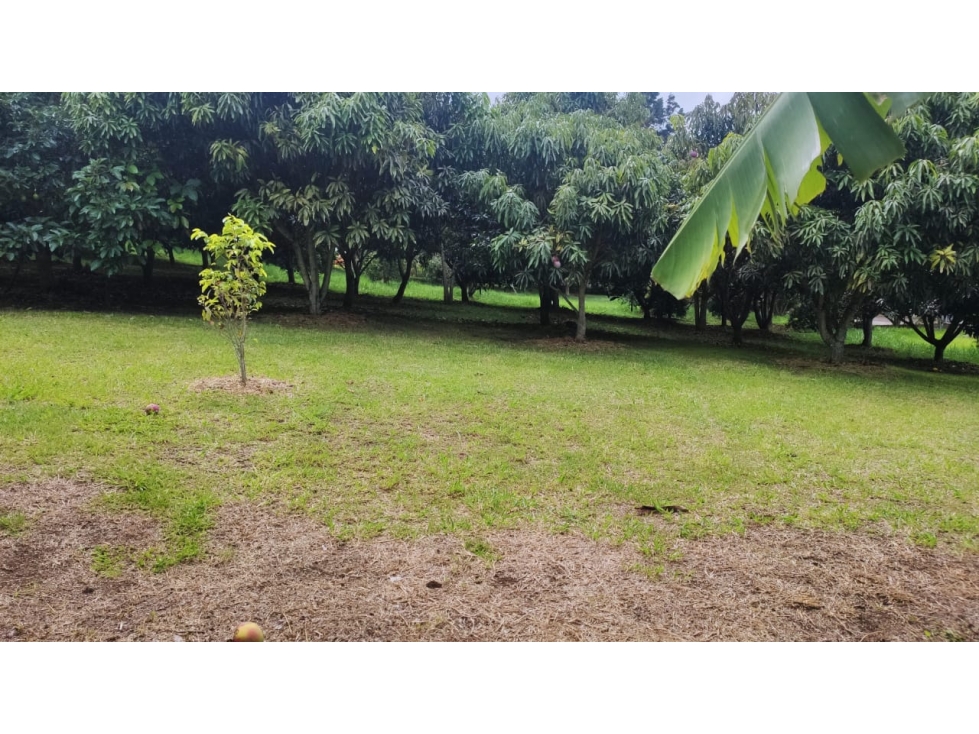 Finca en venta en Villa Roca Copacabana - 3
