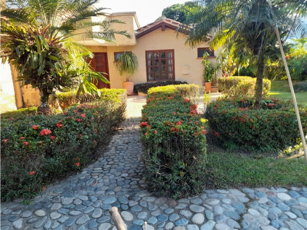 SE VENDE FINCA EN LA PINTADA (ANTIOQUIA) - 3