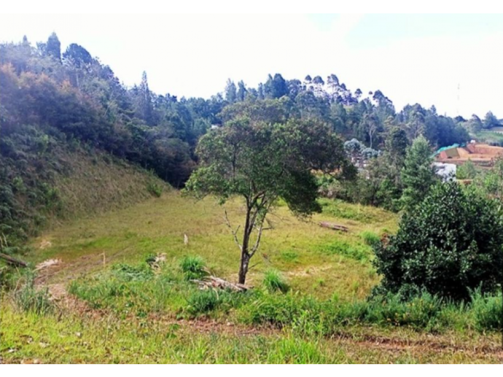 Lote para la venta en Envigado Altos del Escobero — foto 4