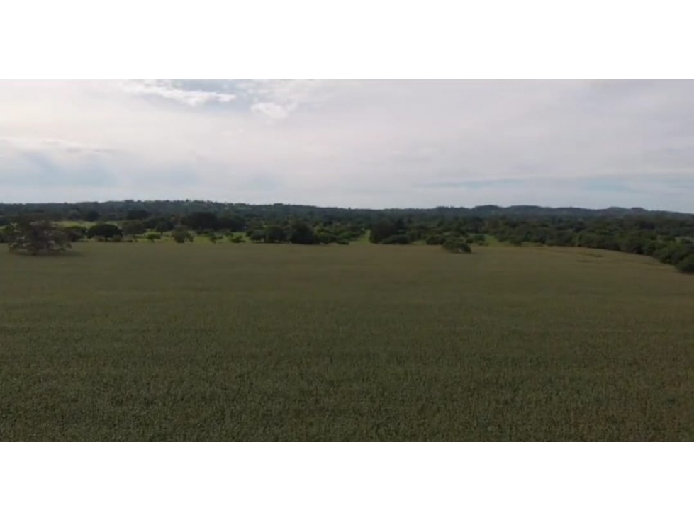 VENTA DE FINCA EN MOMIL CORDOBA MONTERIA - 2