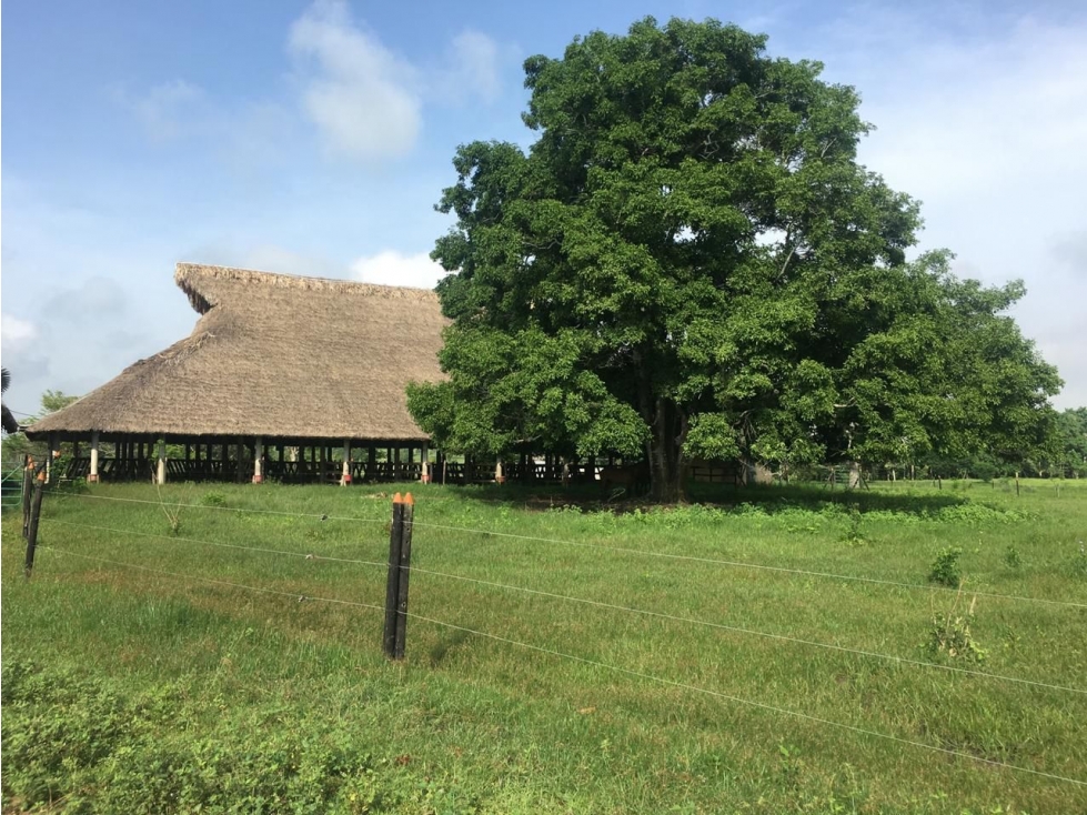 Finca en Venta en San Onofre Sucre - 2