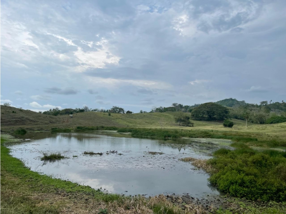 Finca en venta en Córdoba cerca de Montería - 6