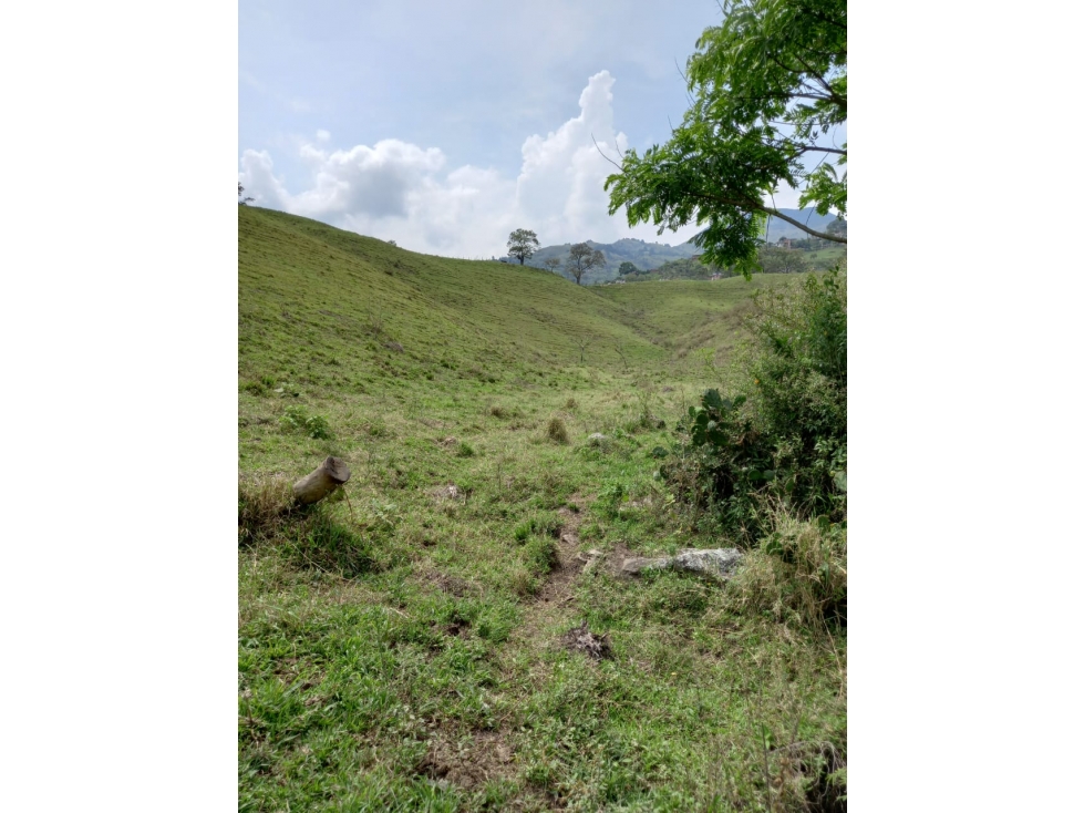 Lote para la venta en Girardota Antioquia — foto 2