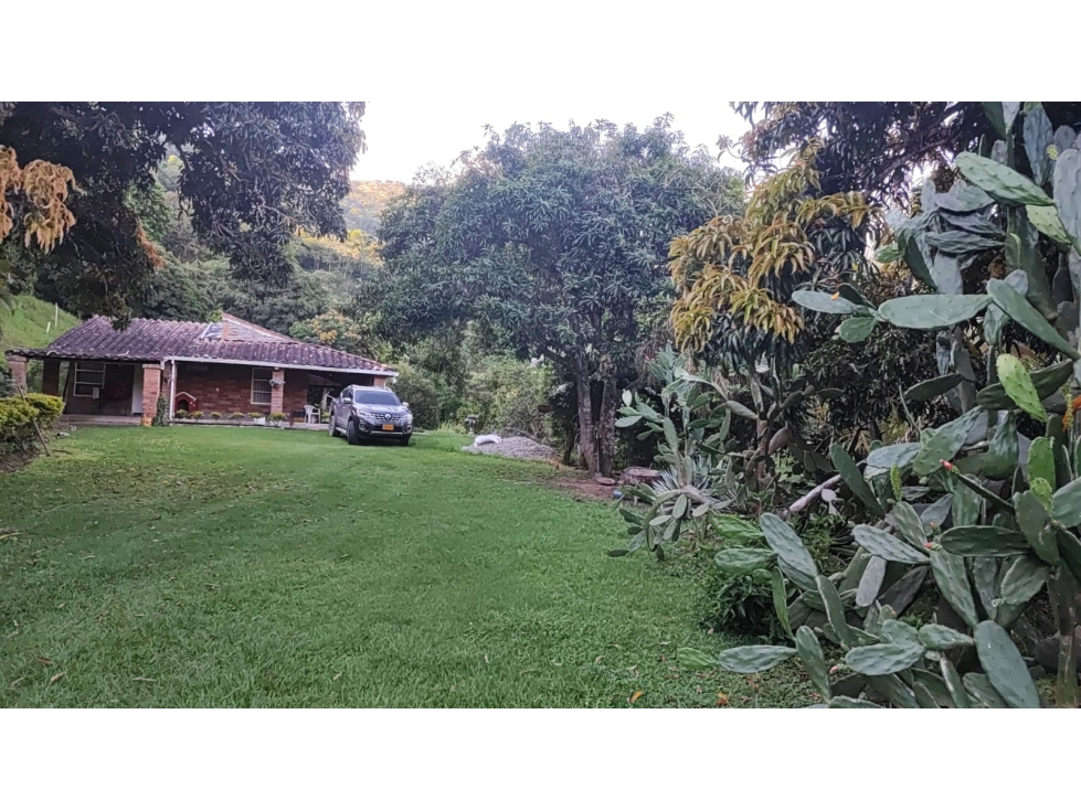 Vencambio Finca con dos casas, vereda de Sopetrán — foto 5