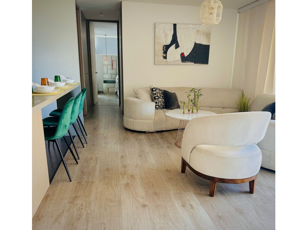 Venta de apartamento en Palmas sector Padre Marianito — foto 3