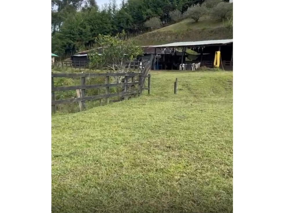 Venta de Finca en Rionegro Antioquia cerca al Aeropuerto — foto 4