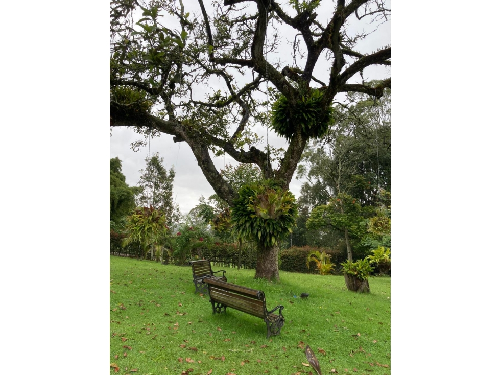 Casa finca en arriendo en Rionegro Llanogrande — foto 6