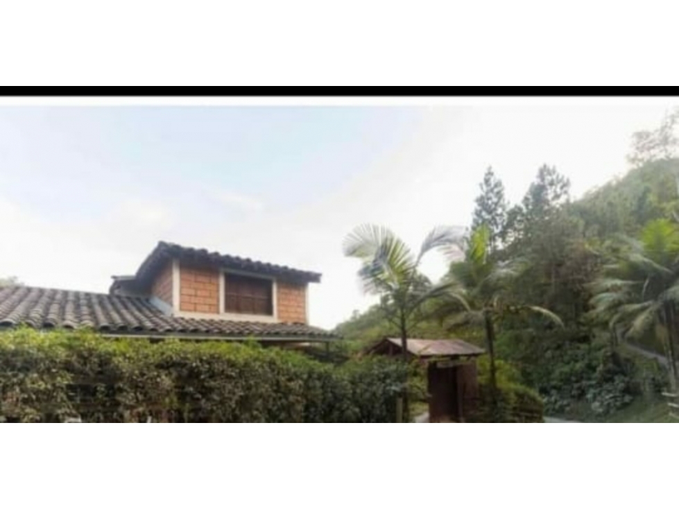 Finca en Venta Construccion Tradicional Caldas Antioquia — foto 3