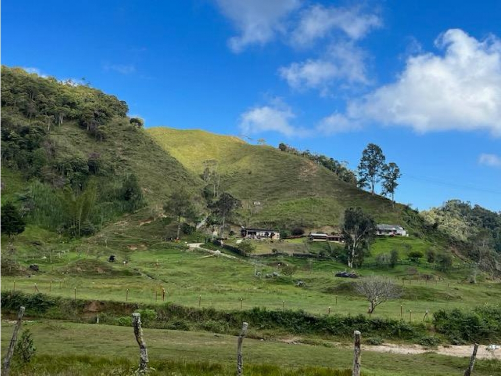 Finca Agropecuaria en Venta en Santo Domingo Antioquia - 3
