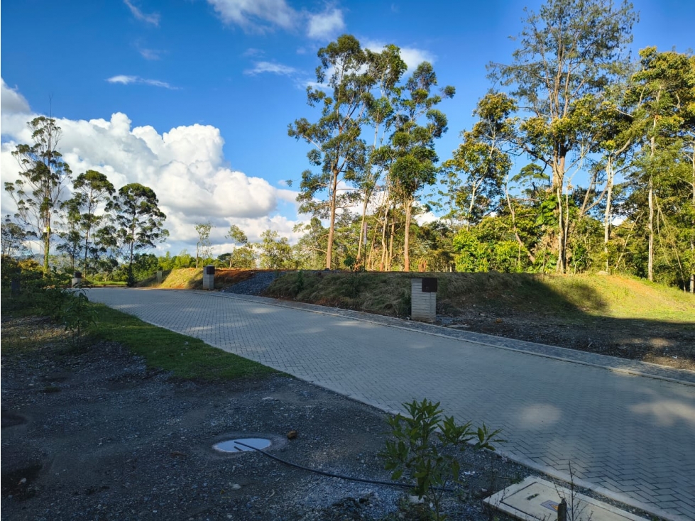 Lote para la venta en Rionegro sector Llano grande — foto 3
