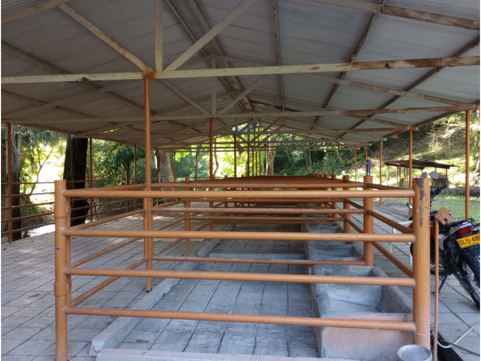 Finca en venta en Honda Tolima - 5