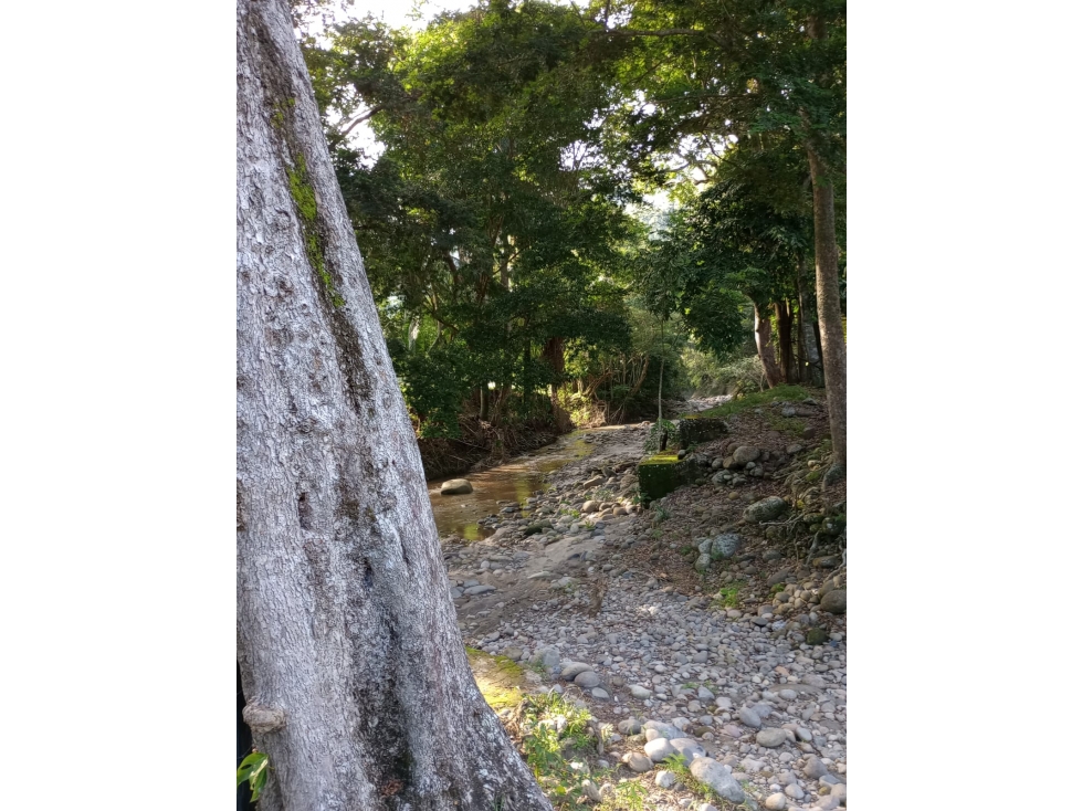 Finca en venta en Honda Tolima - 6