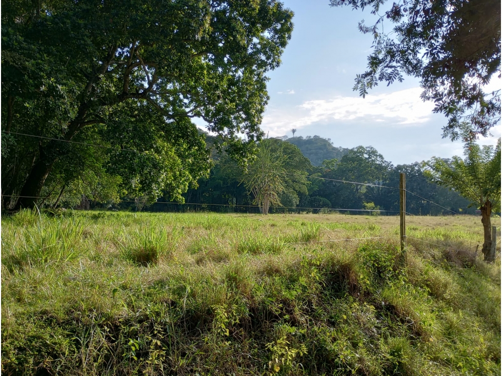 Finca en venta en Honda Tolima - 3