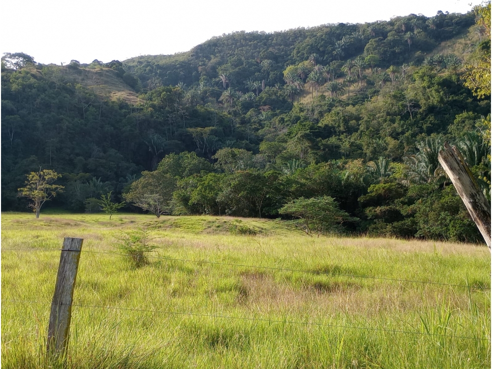 Finca en venta en Honda Tolima - 2