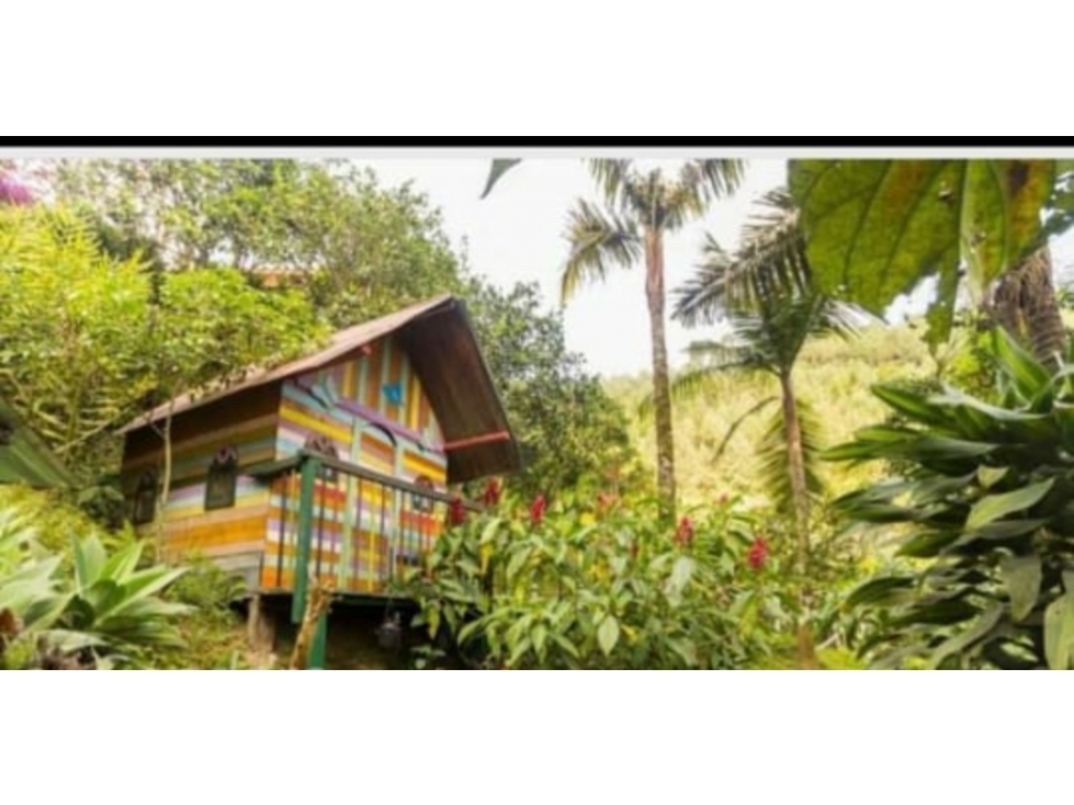 Finca en Venta Construccion Tradicional Caldas Antioquia — foto 4