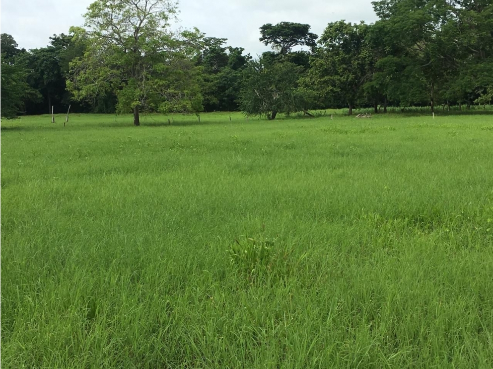 Finca en Venta en San Onofre Sucre - 4