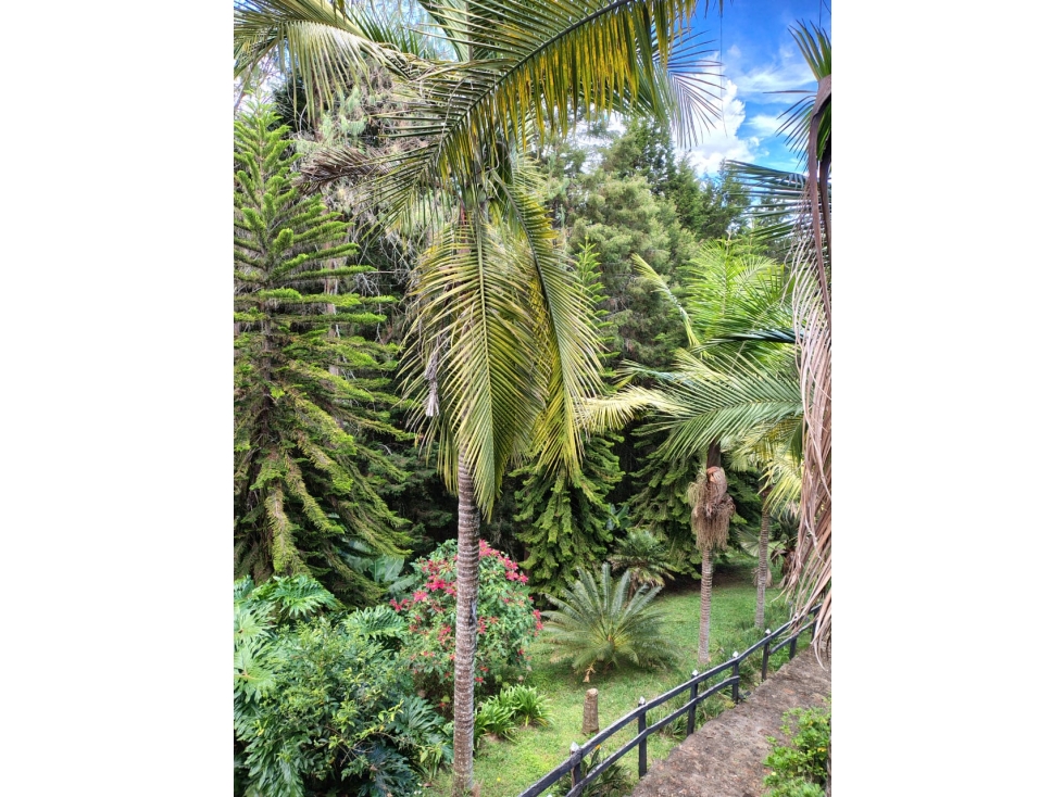 Casa para la venta en Rionegro vereda Mampuesto Antioquia — foto 3