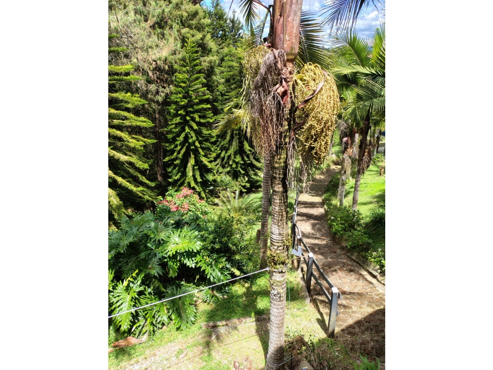 Casa para la venta en Rionegro vereda Mampuesto Antioquia — foto 4