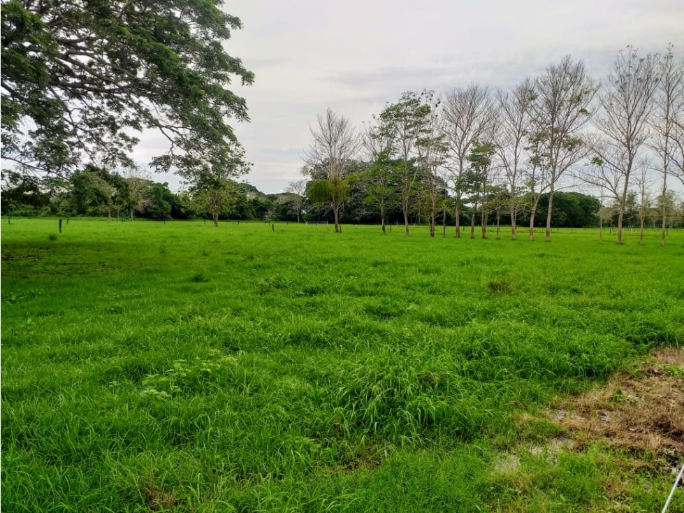 Finca en Venta en San Onofre Sucre - 6
