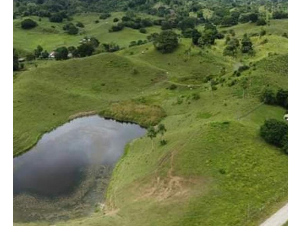 Finca en venta en Córdoba cerca de Montería - 2