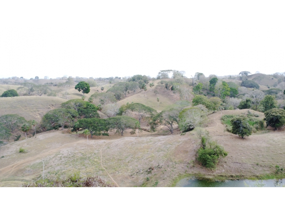 Finca en venta en los Córdobas cerca de Monteria - 2