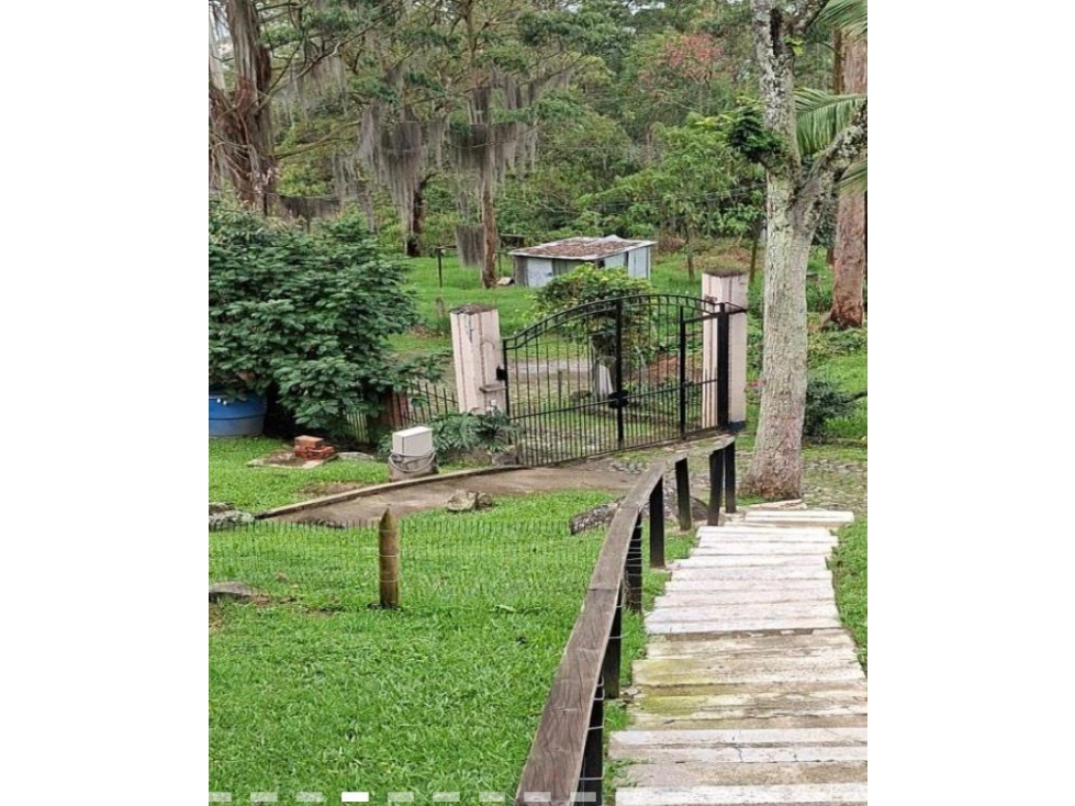 Venta Casa o Lote Estratégico En Los Balsos El Poblado Medellín — foto 5