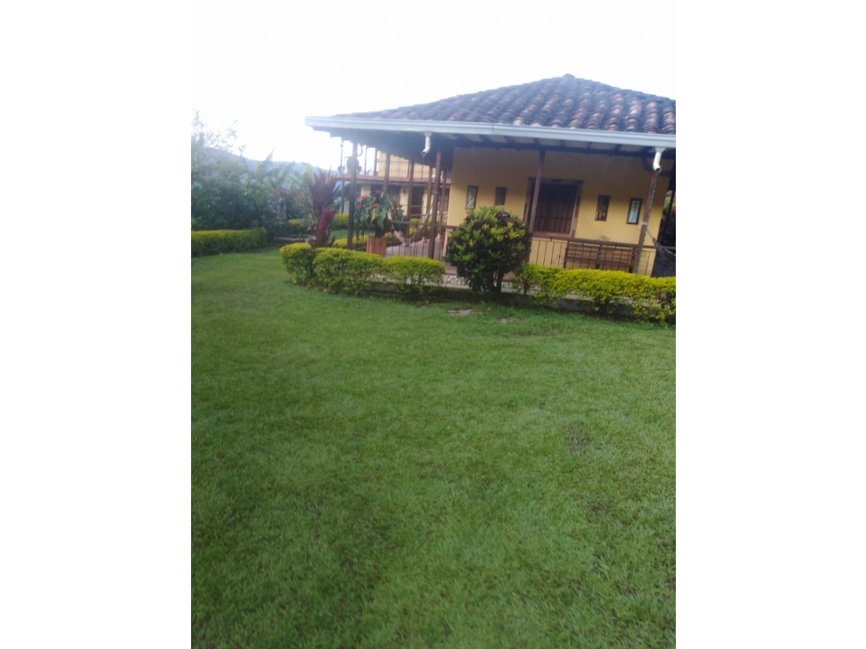 Casa Finca Para La Venta En Sonson. - 3