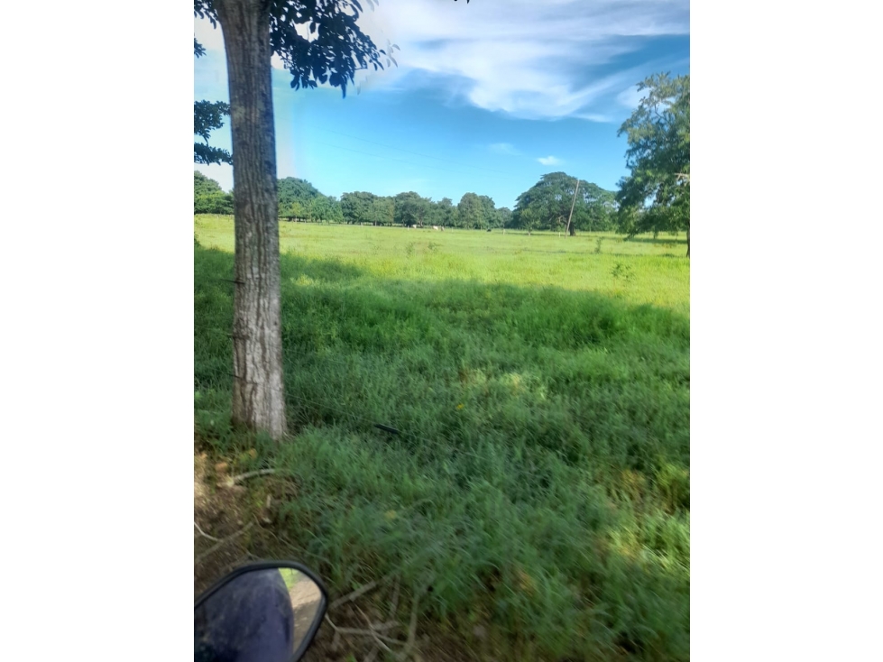 Finca en venta en Córdoba cerca de Montería - 2