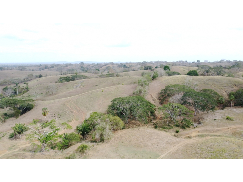 Finca en venta en los Córdobas cerca de Monteria - 3