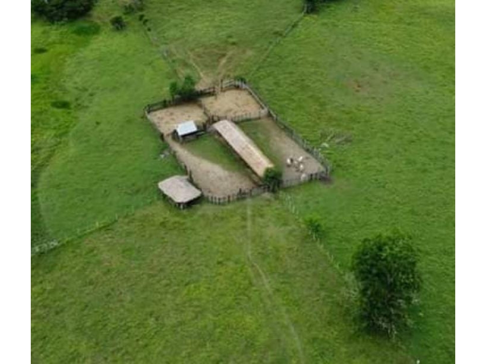 Finca en venta en Córdoba cerca de Montería - 3