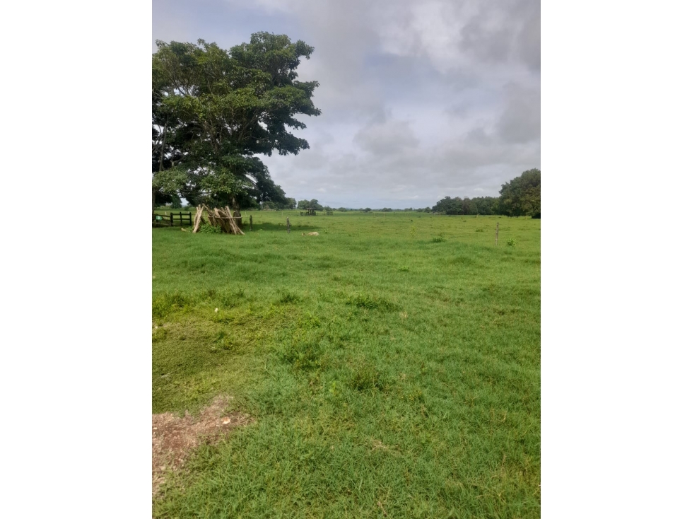 Finca en venta en Córdoba cerca de Montería - 3