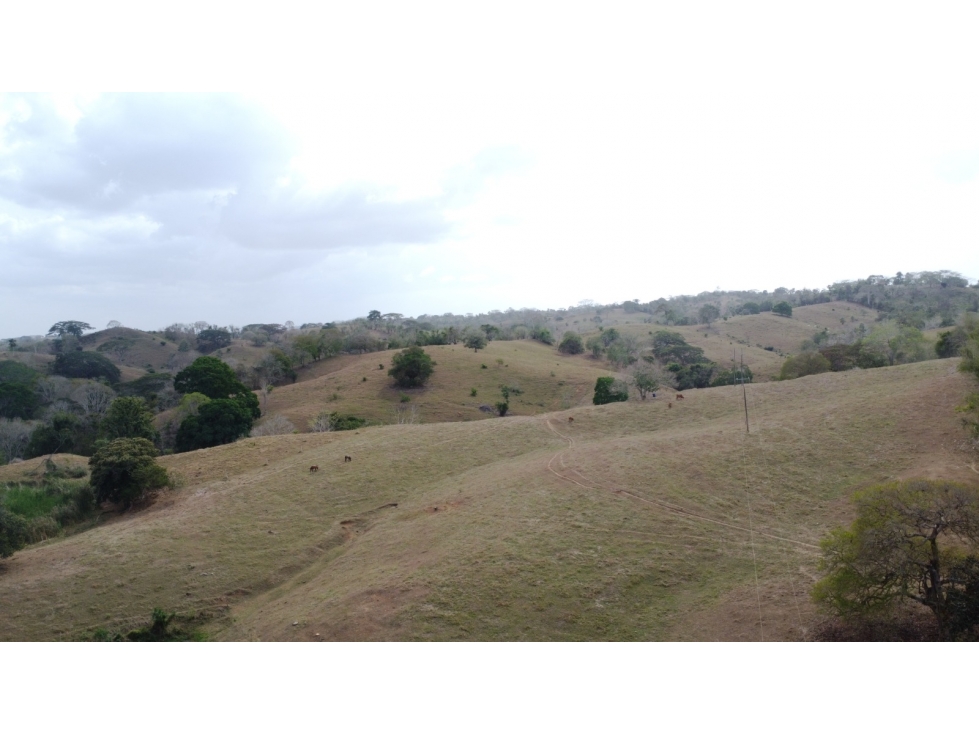 Finca en venta en los Córdobas cerca de Monteria - 4