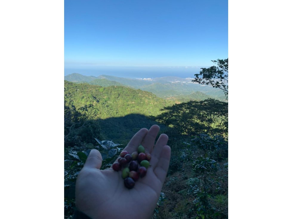 Lote cerca a Minca Sierra Nevada de Santa Marta el Campano — foto 2