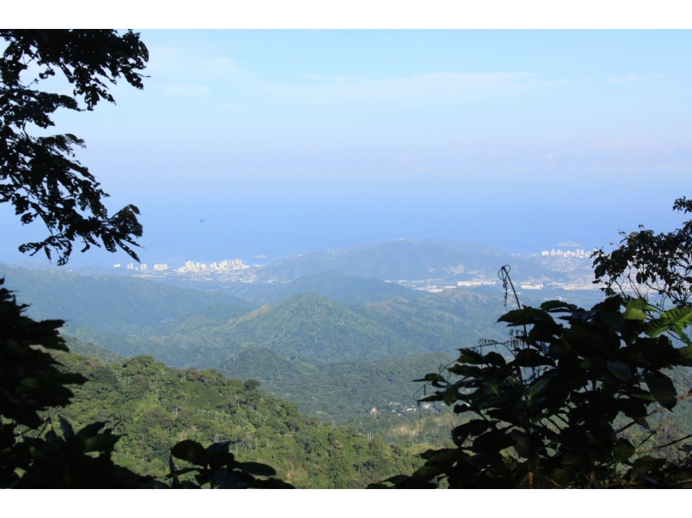Lote cerca a Minca Sierra Nevada de Santa Marta el Campano — foto 4