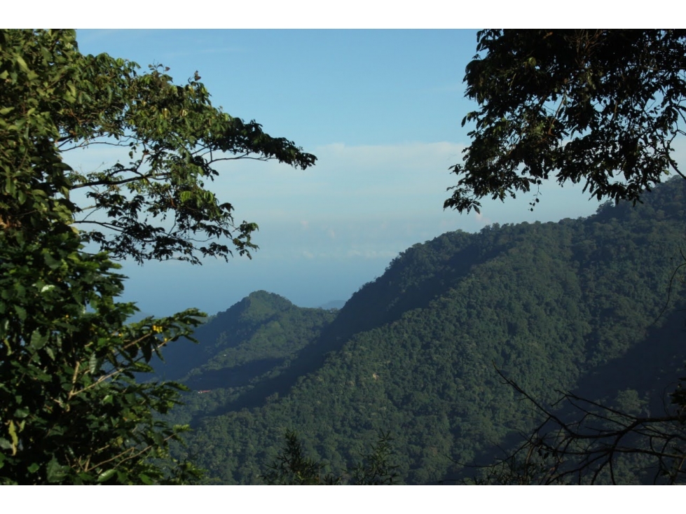 Lote cerca a Minca Sierra Nevada de Santa Marta el Campano — foto 5