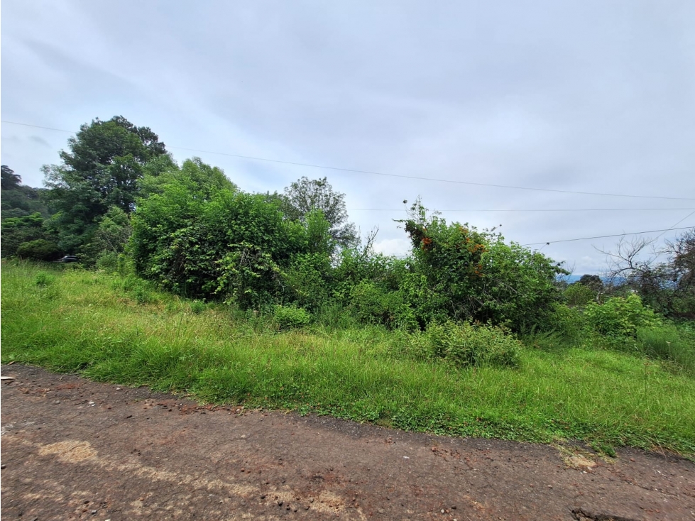 Terreno en venta sobre Carretera Santa Ana Patzcuaro - 5