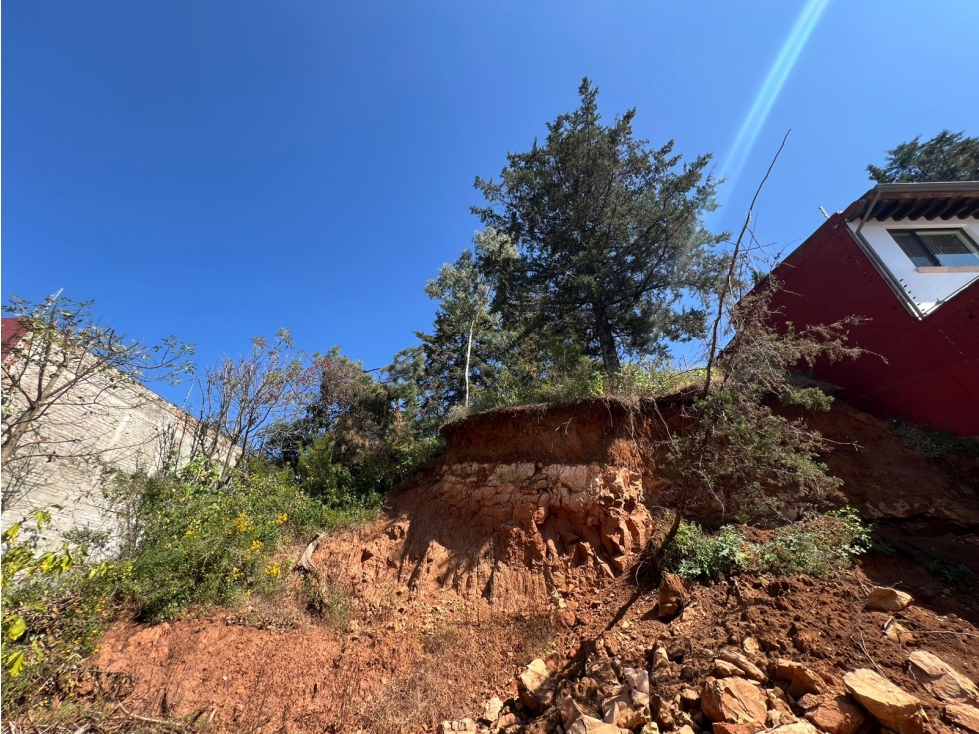 Terreno en Venta Rincon Los Nogales Patzcuaro - 5