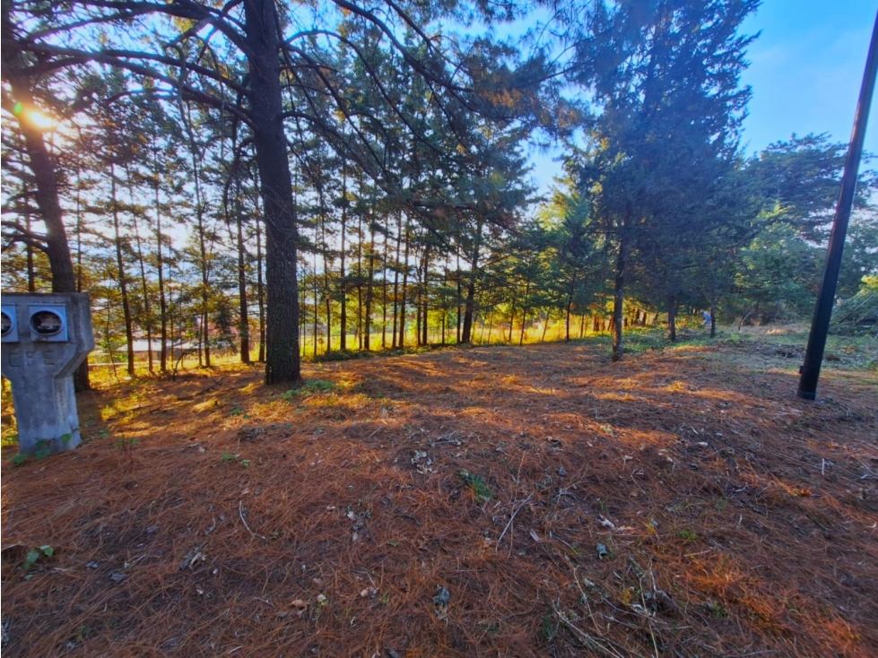 Terreno en venta en Bosques De Pátzcuaro - 1