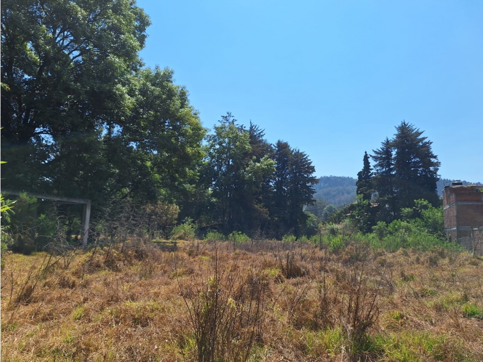 Dos terrenos en venta cerca del lago de Patzcuaro - 2