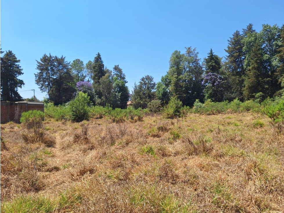 Dos terrenos en venta cerca del lago de Patzcuaro - 1