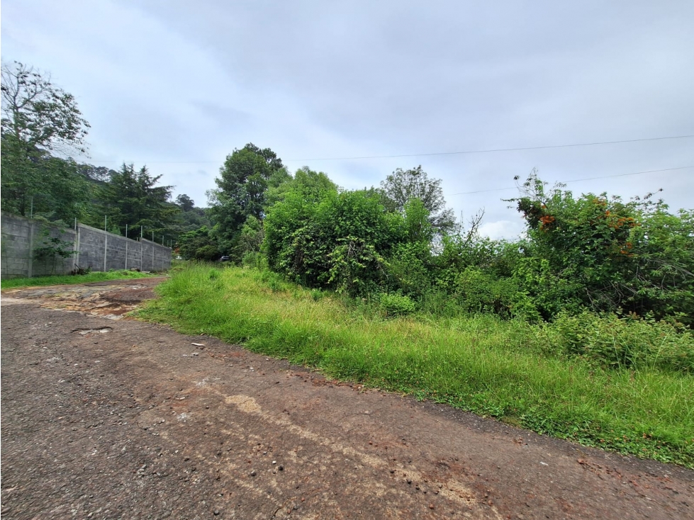 Terreno en venta sobre Carretera Santa Ana Patzcuaro - 4