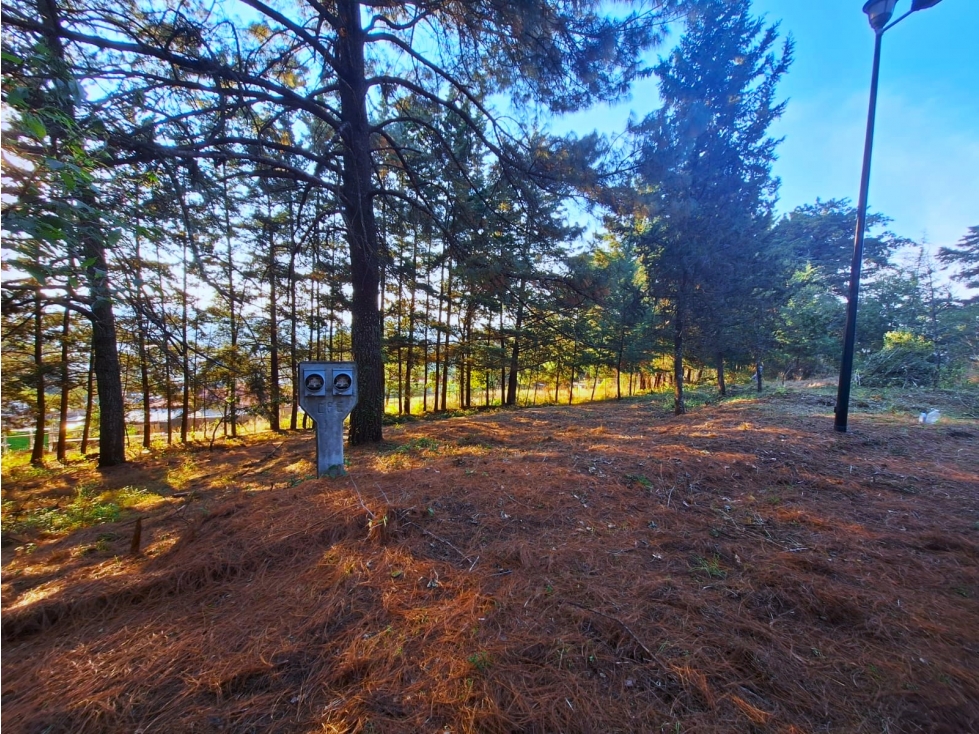 Terreno en venta en Bosques De Pátzcuaro - 2