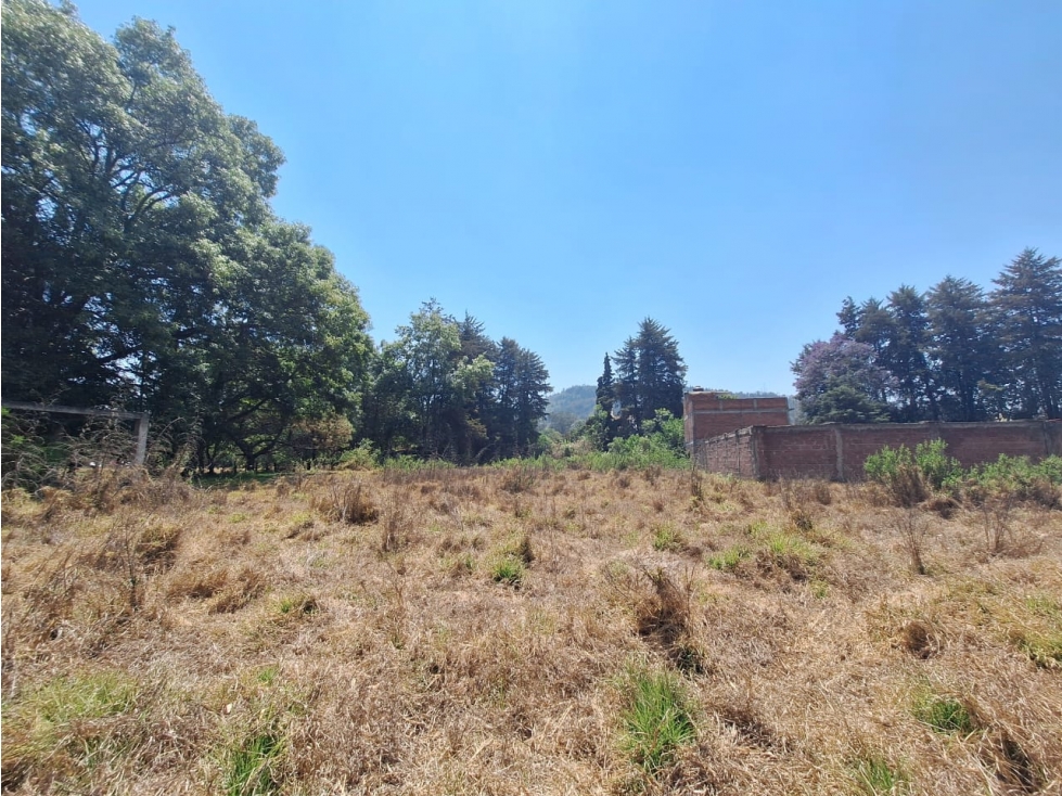 Dos terrenos en venta cerca del lago de Patzcuaro - 3