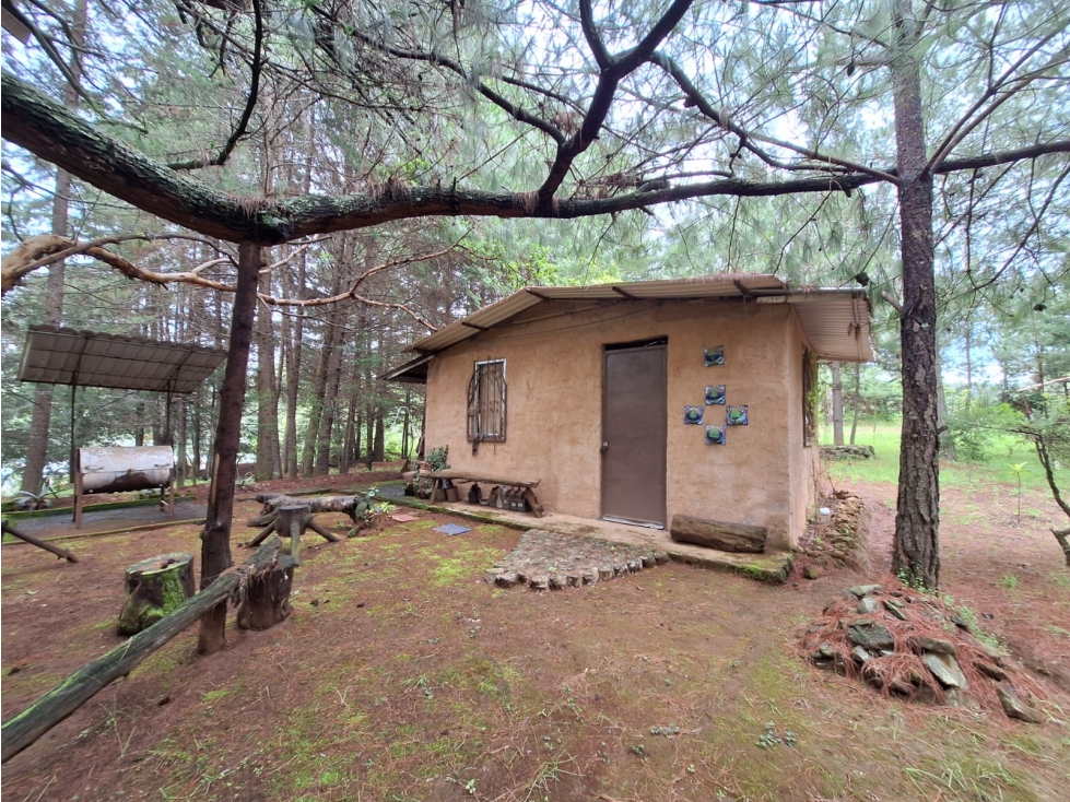 Cabaña con amplio terreno en Venta Pátzcuaro - 1