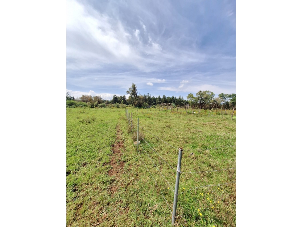 Dos terrenos rusticos en venta en Quiroga - 2
