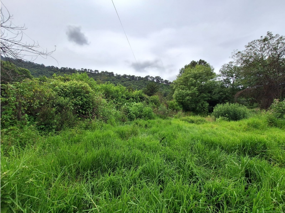 Terreno en venta sobre Carretera Santa Ana Patzcuaro - 3