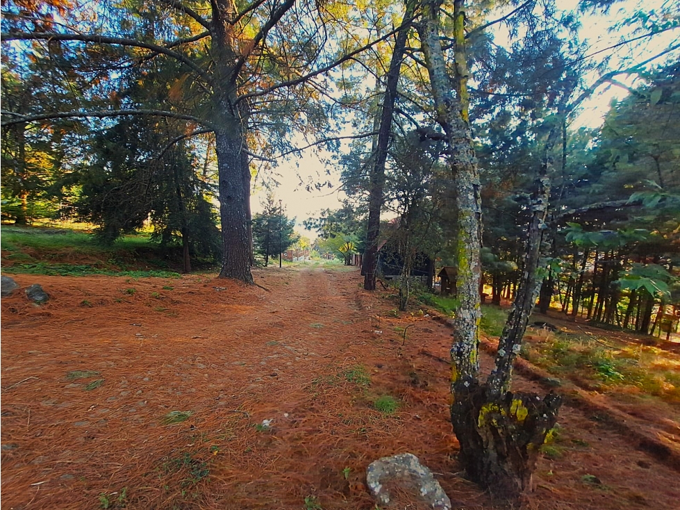 Terreno en venta en Bosques De Pátzcuaro - 3