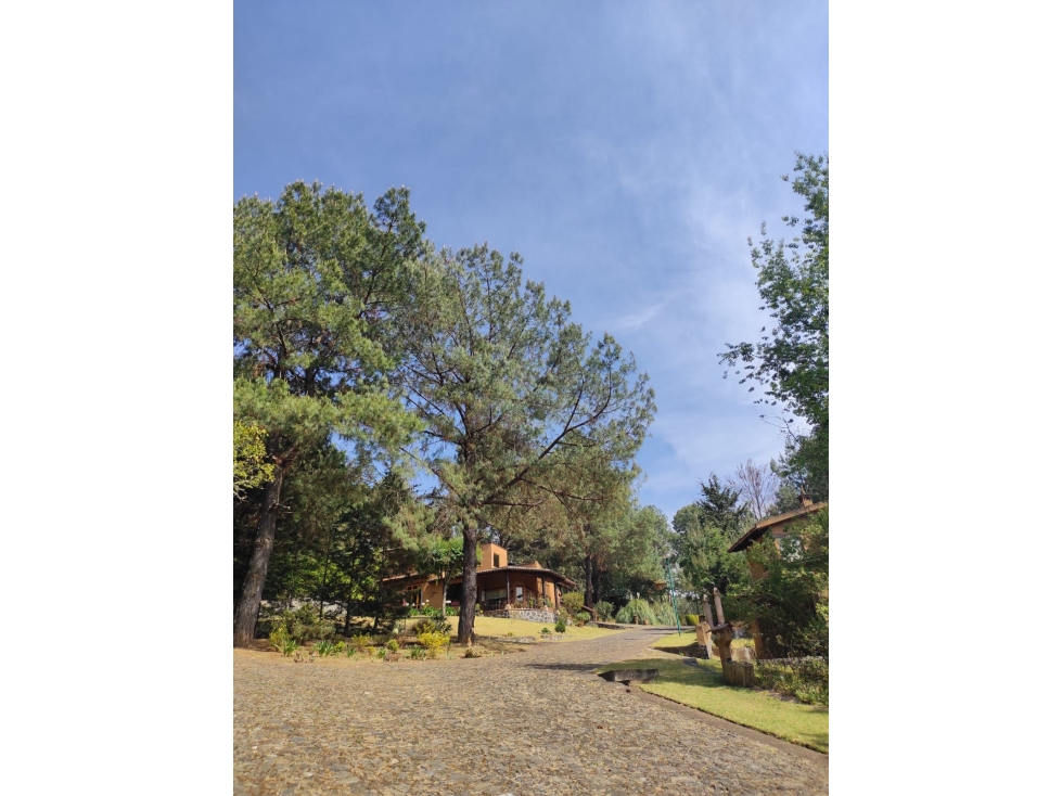 Terreno en Venta Corazon de Durazno Pátzcuaro - 4