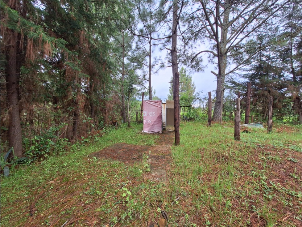 Cabaña con amplio terreno en Venta Pátzcuaro - 5