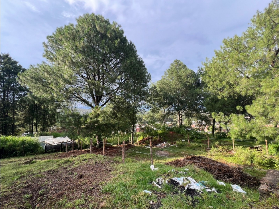 Terreno amplio en venta en el Zitunero Pátzcuaro - 5